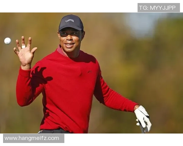 体育明星收入排行榜揭晓年收入超30万的运动员名单分析